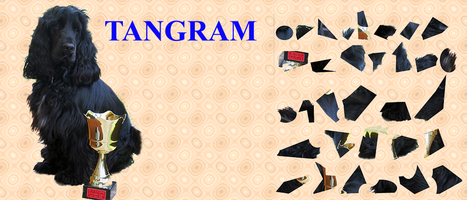 Tangram